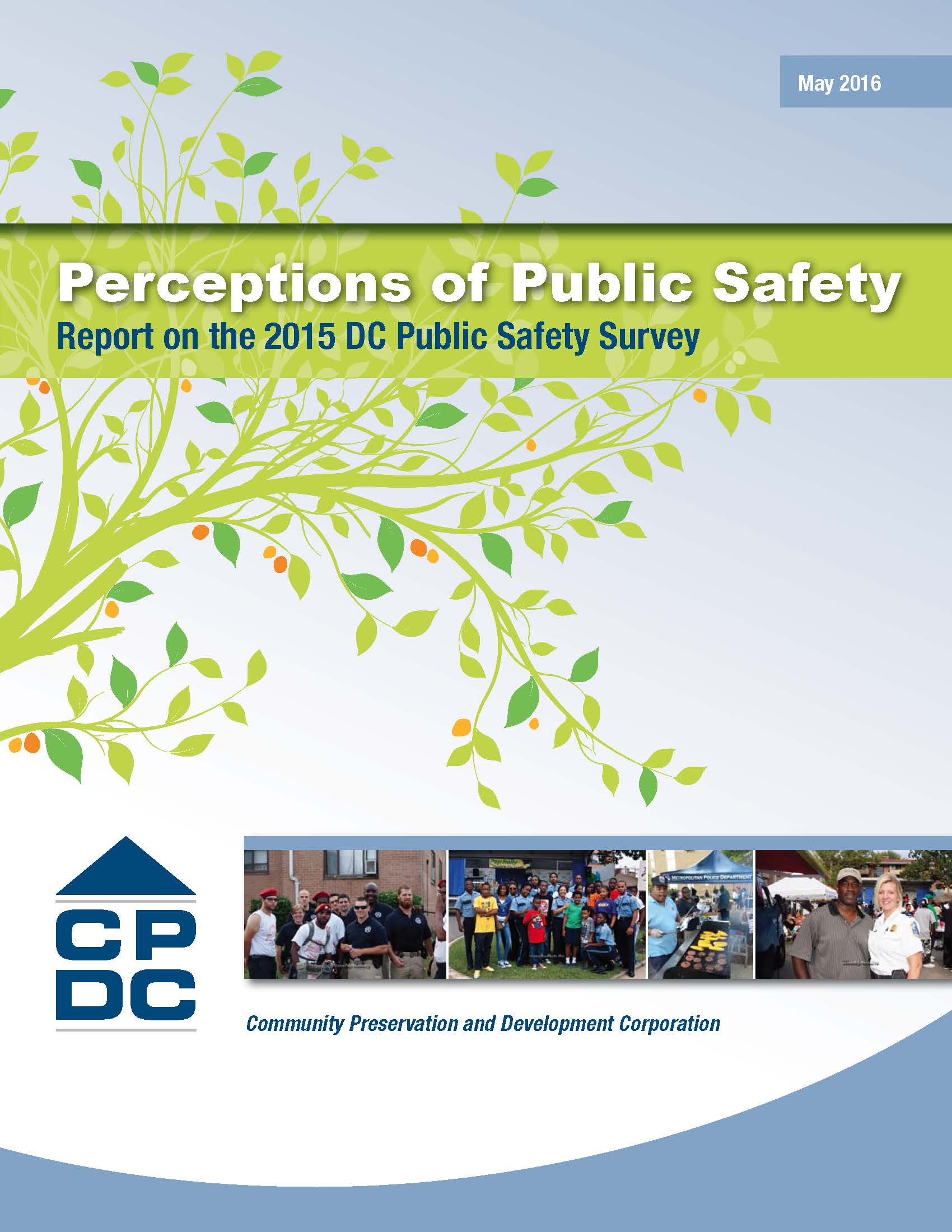 Perceptions of Public Safety Executive Summary
